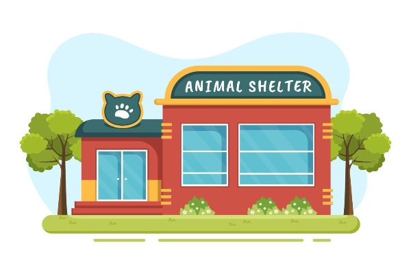 Animal birth control centers, shelters for stray animals in Tripura