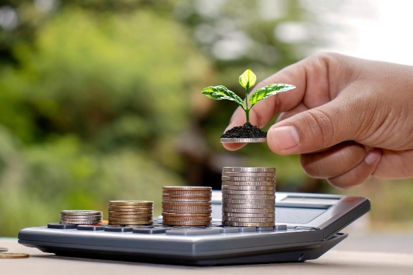 Budget: TERI Leadership on Climate, Energy and Inclusive Growth