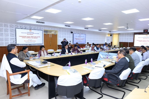 Plan to rescue stray animals and provide suitable shelters