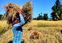 Tripura Agriculture Department signs MoU the NBSS