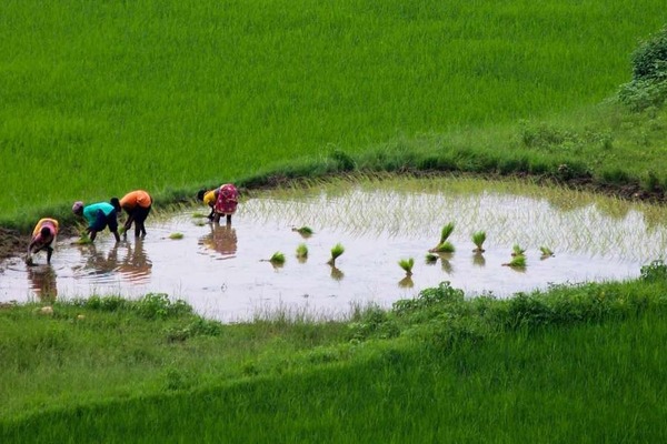 “Scaling Nature-based Solutions for Himalayan Resilience”